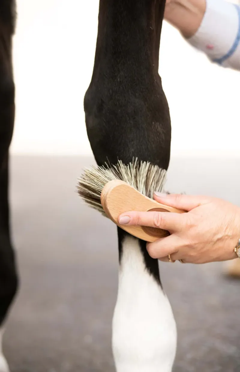 Smart Grooming - Borstiq Banana Medium Brush